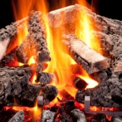 Woodland Timbers Vented Gas Logs by Hargrove